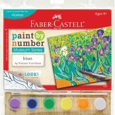 PAINT BY NUMBER IRISES