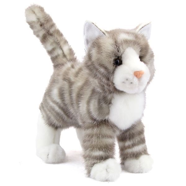 ZIPPER GRAY TABBY CAT