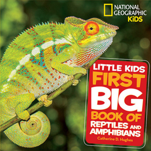 Little Kids First Big Book of Reptiles and Amphibians