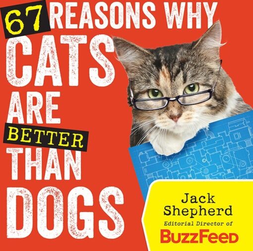 67 Reasons Why Cats Are Better Than Dogs