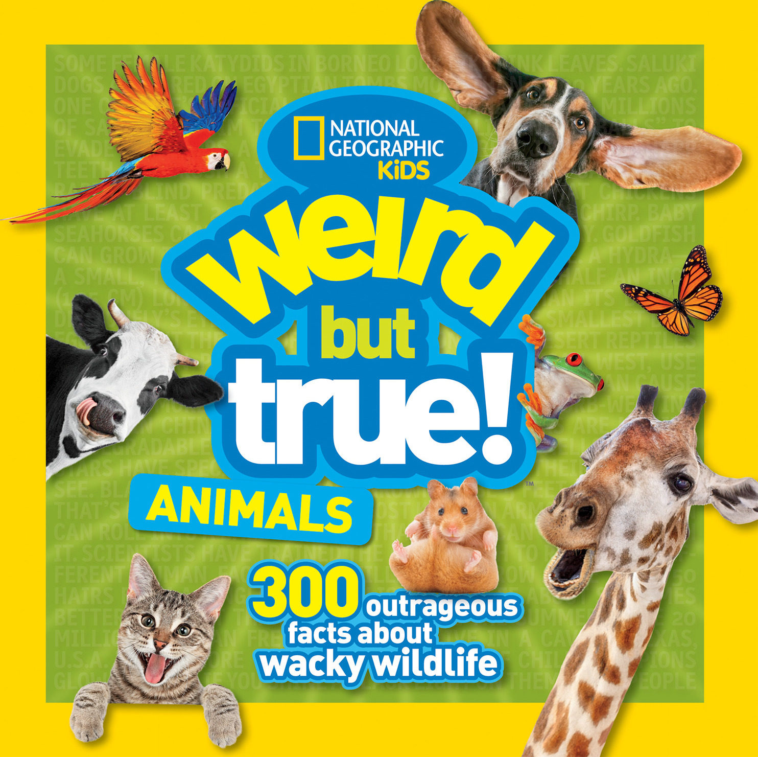 Weird But True Animals