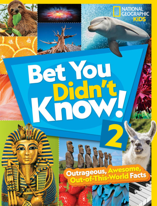 Bet You Didn't Know! 2: Outrageous, Awesome, Out-of-This-World Facts