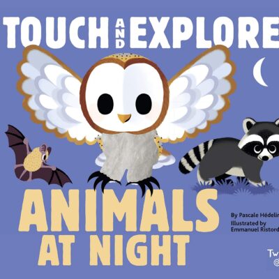 Touch and Explore: Animals at Night