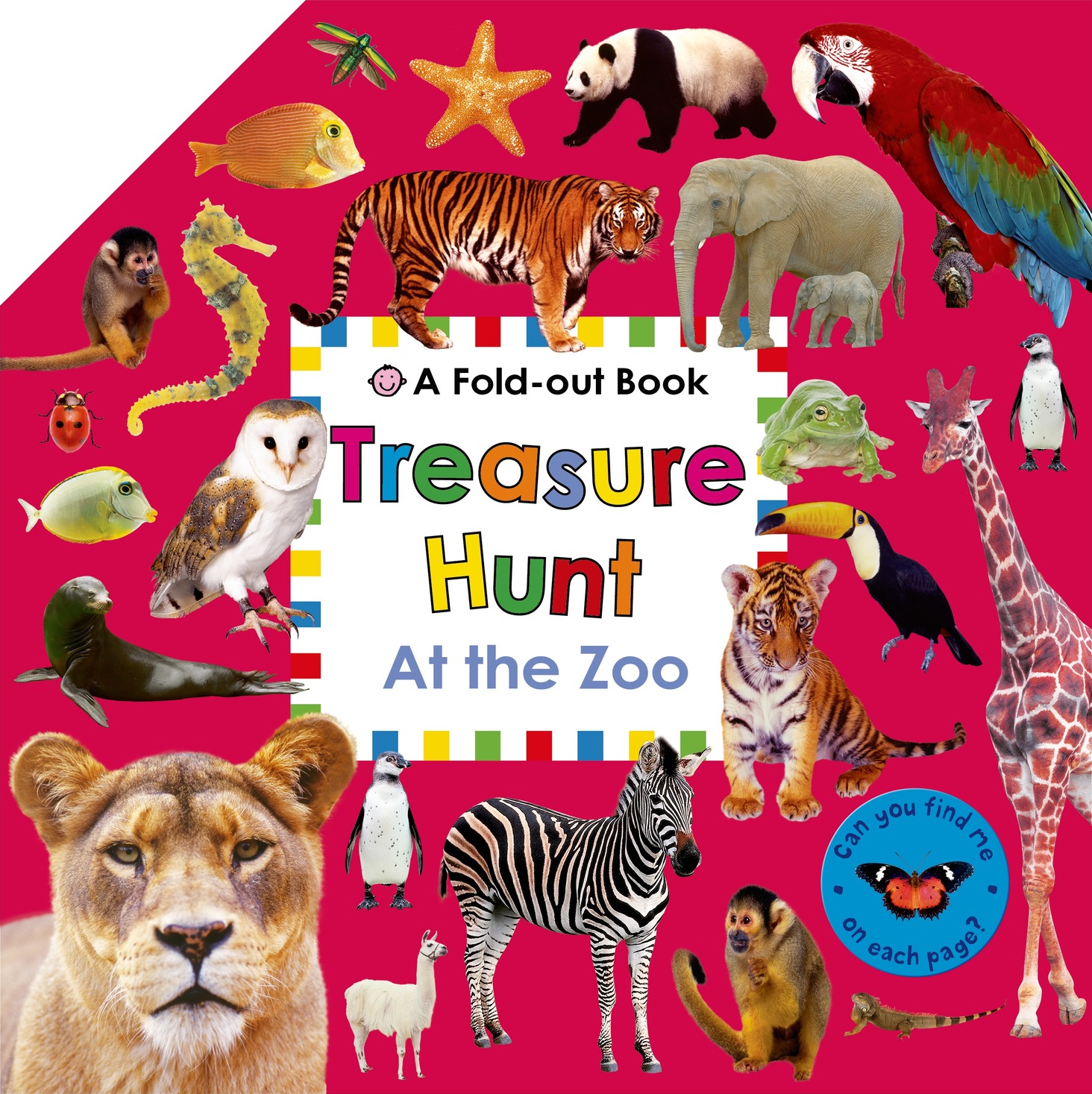 Treasure Hunt: At the Zoo: A Fold-Out Book