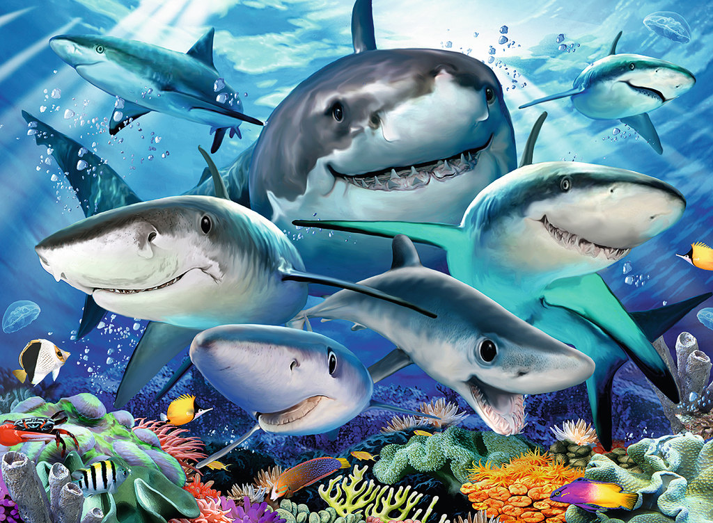 Smiling Sharks
