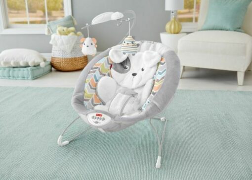 Fisher-Price® Sweet Snugapuppy™ Deluxe Bouncer