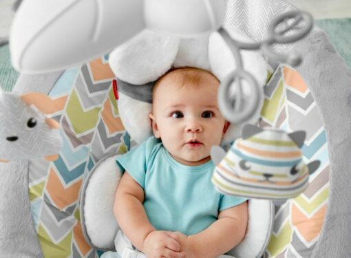Fisher-Price® Sweet Snugapuppy™ Deluxe Bouncer