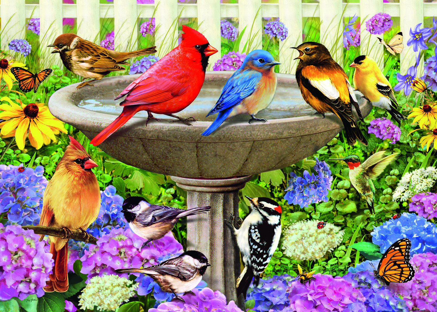 At The Birdbath