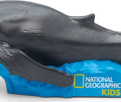 National Geographic's Whale