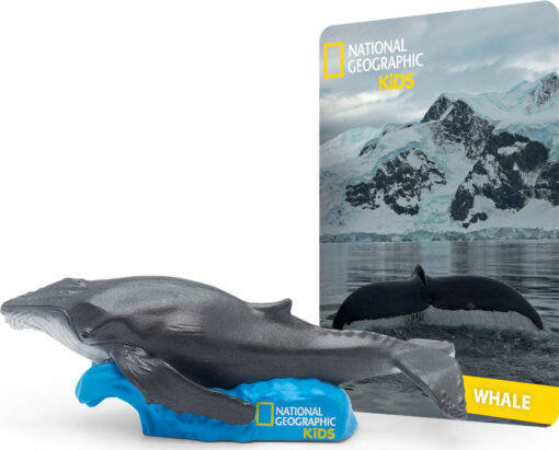 National Geographic's Whale