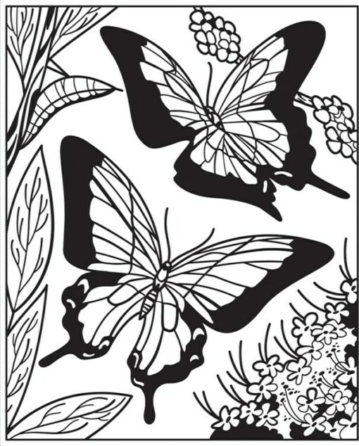 Magic Painting Book, Butterflies
