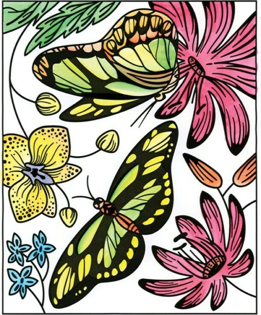 Magic Painting Book, Butterflies
