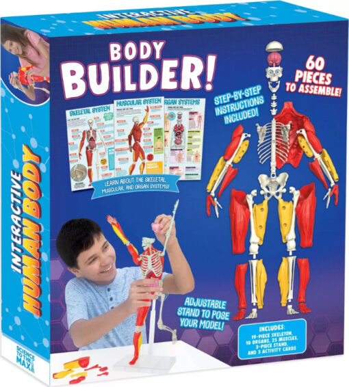 Science to the Max - Interactive Human Body