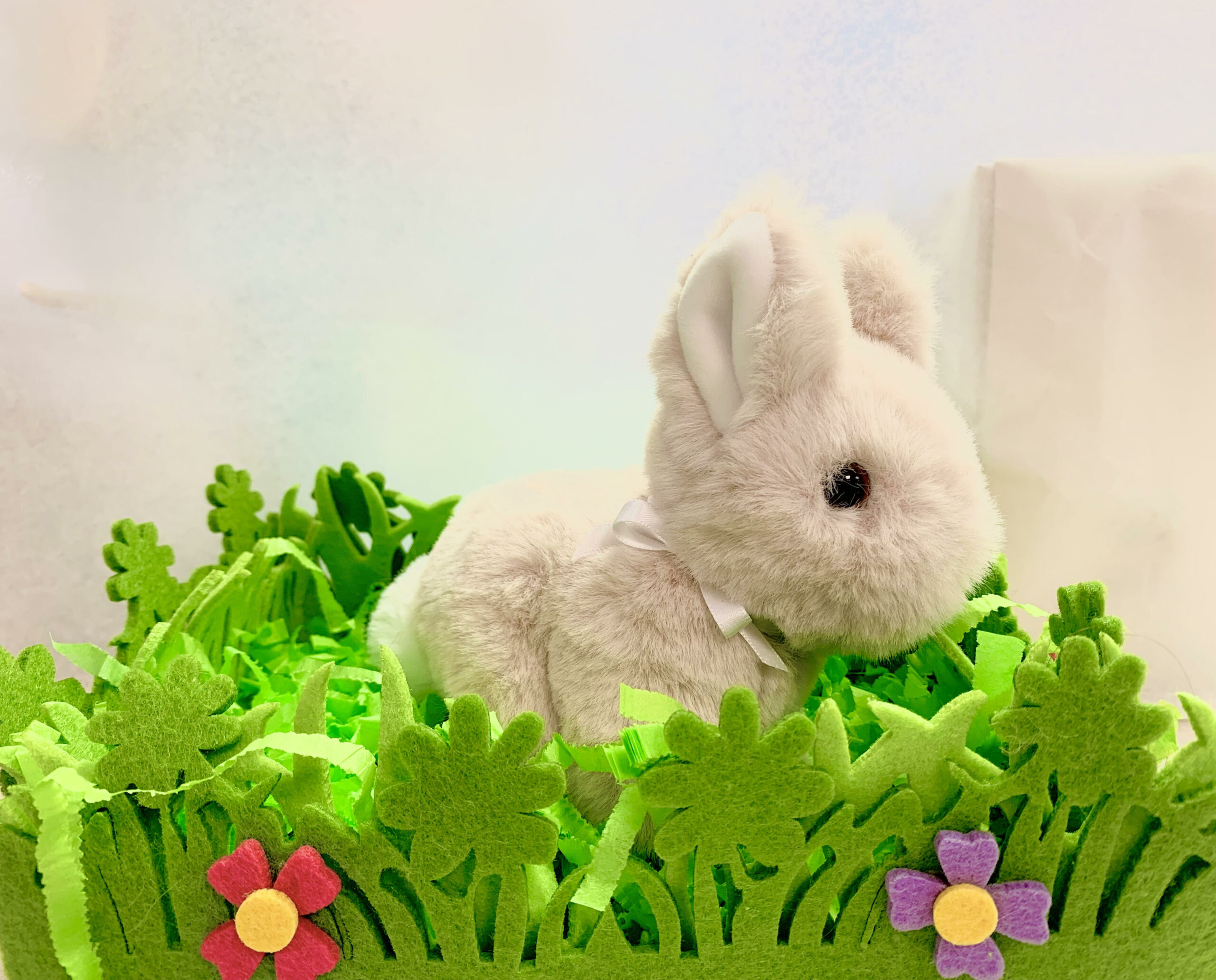 SITTING BUNNY 6.5"-CHOC & CREAM - Image 3