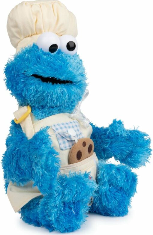 Sesame Street Teach Me Cookie Monster, 15 In