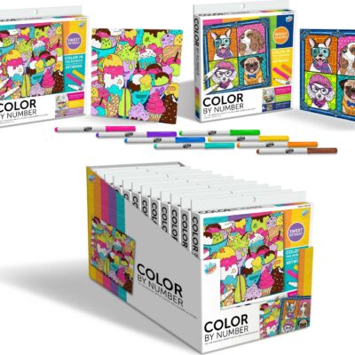 Color by Numbers Kit (assorted)