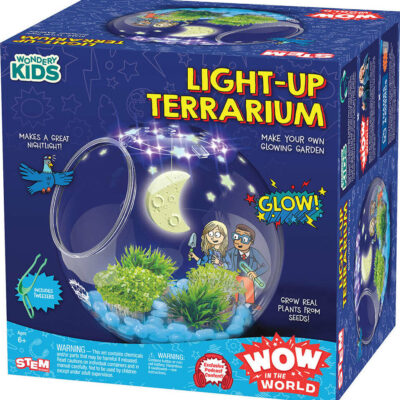 Light-Up Terrarium