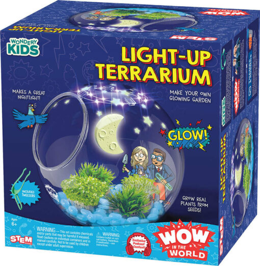 Light-Up Terrarium