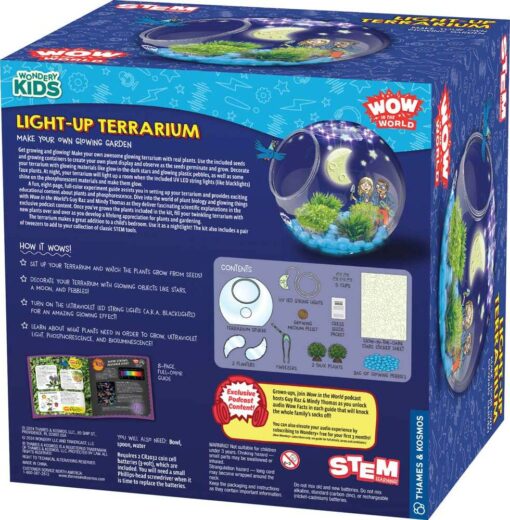 Light-Up Terrarium