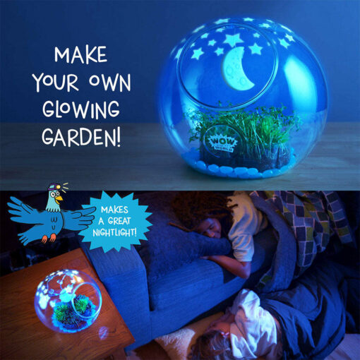 Light-Up Terrarium