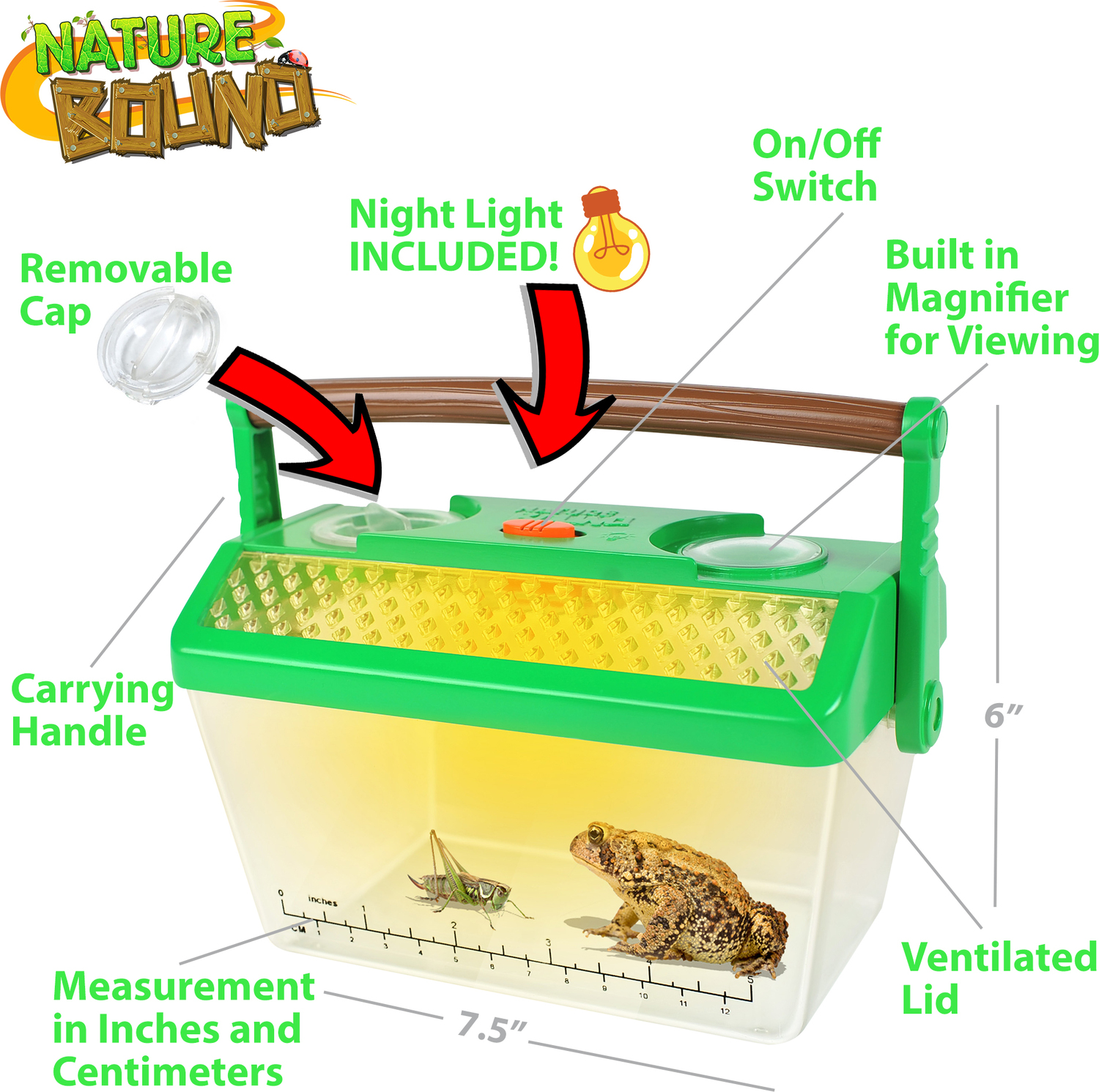 Critter Barn Bug Habitat with Light