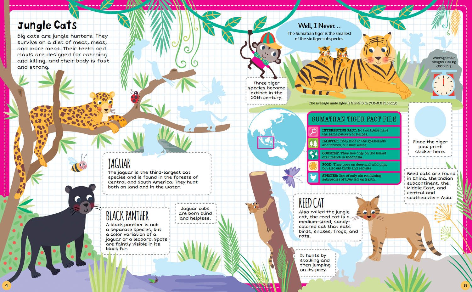 Jungle Sticker Map JUNGLE STICKER FACTS – The Children's Gift Shop