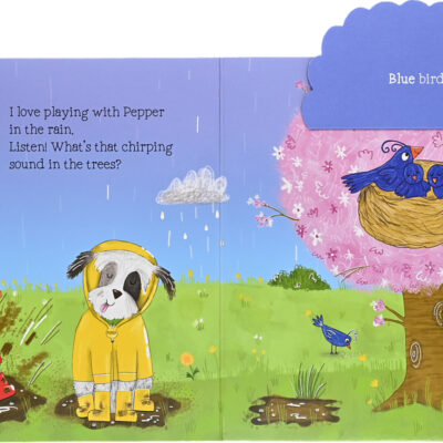 Peek-A-Bo - Rainbow Colors (A Lift-The-Flap Board Book)