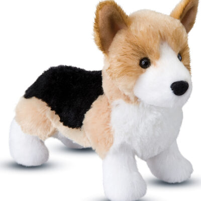 Shorty Tri-Color Corgi