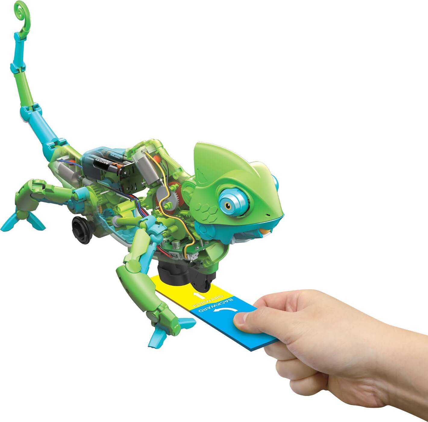 My Robotic Pet: Coding Chameleon